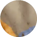 a close up of a circle with a cross on it .