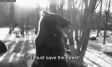 Bear I Must See The Forest GIF - Bear I Must See The Forest Walking GIFs