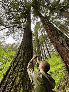 a man in a green jacket is looking up at a tree in a forest