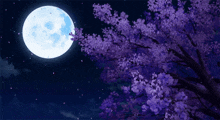 That One Cherry Night But Mirrored For That One Discord Shit GIF - That One Cherry Night But Mirrored For That One Discord Shit GIFs