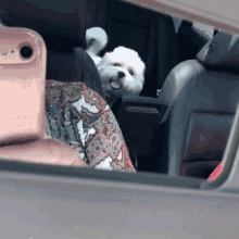 Dogs Cute Animals GIF - Dogs Cute Animals Pup GIFs