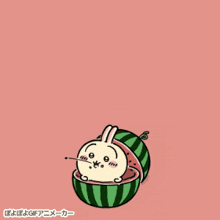 a cartoon of a rabbit eating a watermelon with chinese writing