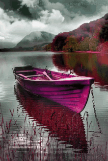Boat GIF