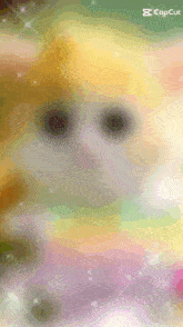 a close up of a cat 's face with a caption that says " capcut "