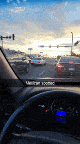 Mexican Spotted GIF - Mexican Spotted GIFs