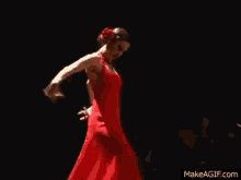 Flamenco GIF