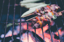 Grilling GIF - Grilling GIFs