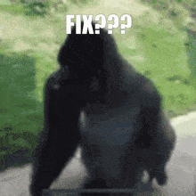Gorilla Gorilla Fix GIF - Gorilla Gorilla Fix GIFs