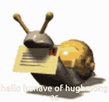 hunave evan snail mail internetcore