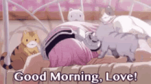 おはよう　アニメ GIF - Ohayo Good Morning Cats GIFs