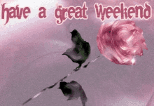Have A Great Weekend Pink GIF - Have A Great Weekend Pink Rose GIFs