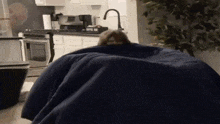 a person is laying on a bean bag chair in a kitchen covered in a blue blanket ..