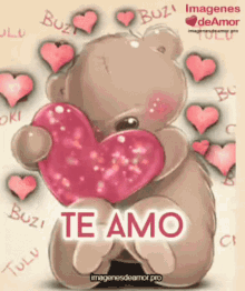 love you te amo bear hearts
