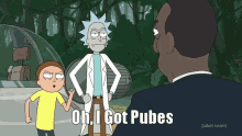 Rick And Morty Pubes GIF - Rick And Morty Pubes GIFs