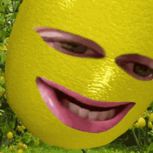 Lemon Smiling GIF - Lemon Smiling Limon GIFs