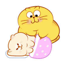fat kitty cat egg yolk cat cute cats sleep