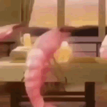beer shrimp