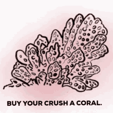 Coral Crush GIF - Coral Crush Valentines GIFs