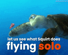 a picture of a turtle with the words let us see what squirt does flying solo below it