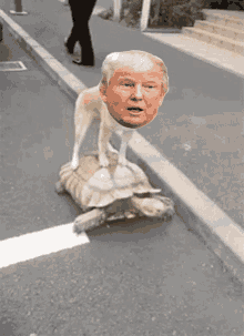 Turtle Trump GIF - Turtle Trump Jail GIFs