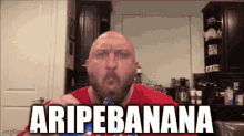 aripebanana banana banana bungalow man eating chips discord