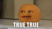 True Truth GIF - True Truth Orange GIFs