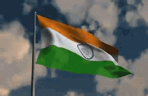 India Flag Animation GIFs | Tenor