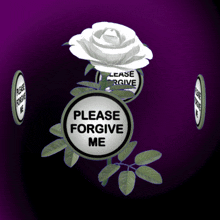 White Rose Please Forgive Me GIF - White Rose Please Forgive Me I Apologise GIFs