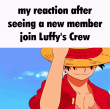 One Piece Straw Hats GIF - One Piece Straw Hats Luffy GIFs