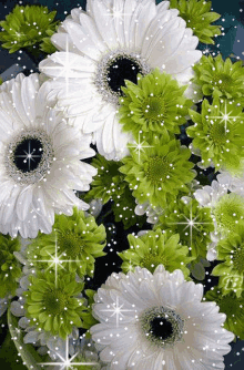 white glittering flower whites