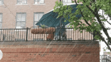 Rainy Day GIF - Rainy Day Rain GIFs