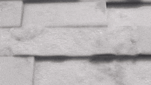 a close up of a brick wall that looks like a brick wall