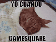 Gamesquare Squarp GIF - Gamesquare Squarp Sleep GIFs