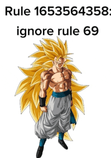 Rule 1653 Rule 69 GIF - Rule 1653 Rule 69 GIFs