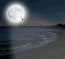 Moon Light GIF