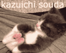 Kazuichi Souda Danganronpa GIF - Kazuichi Souda Danganronpa Cat GIFs