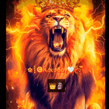 a picture of a lion with a crown on it