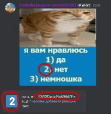 a picture of a cat with the number 2 in red