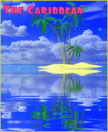 palm islands