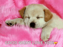 a puppy is sleeping on a pink blanket with the words " good night love you " above it