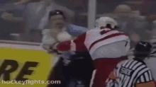 Hockey Fight GIF - Hockey Fight Punch GIFs