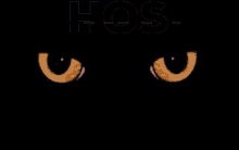 Hosoween GIF - Hosoween GIFs