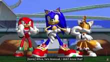 Sonic Fandub Sonic The Hedgehog GIF - Sonic Fandub Sonic The Hedgehog Bisexual GIFs