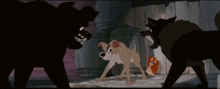Tramp Dog Fight Lady And The Tramp GIF - Tramp Dog Fight Lady And The Tramp GIFs
