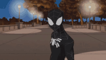 Spiderman Spectacular Spiderman GIF - Spiderman Spectacular Spiderman Cartoon GIFs