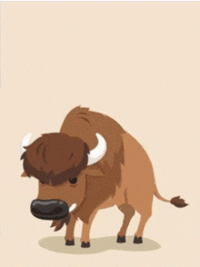 Bouncing Buffalo Bouncing Bison GIF