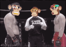 Apegang Boxing GIF - Apegang Ape Gang GIFs