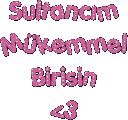 Sultan Sticker - Sultan Stickers