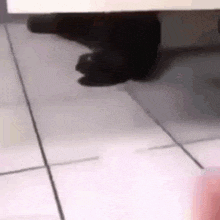 a black cat is laying on a tiled floor next to a cabinet .