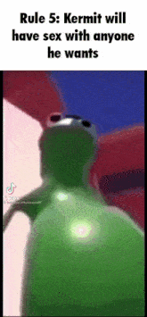 Kermit The Frog Rule 5 GIF - Kermit The Frog Kermit Rule 5 GIFs